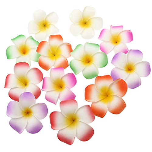 Abaodam 12Er-Pack Haarspangen Mit Plumeria-Blumen Hawaiianische Schaumblumen-Clips Für Frauen Und Mädchen Brautschmuck Für Hochzeiten Strandpartys Tropische Partys von Abaodam