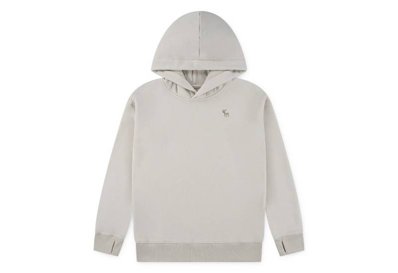 Abercrombie Kids Kapuzensweatshirt AFB ESSENTIALS FLEECE HO mit Logo-Stickerei, for boys von Abercrombie Kids