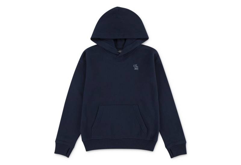 Abercrombie Kids Kapuzensweatshirt AFB ESSENTIALS FLEECE HO mit Logo-Stickerei, for boys von Abercrombie Kids