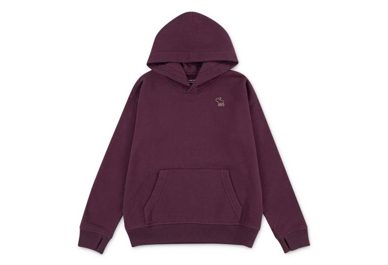 Abercrombie Kids Kapuzensweatshirt AFB ESSENTIALS FLEECE HO mit Logo-Stickerei, for boys von Abercrombie Kids
