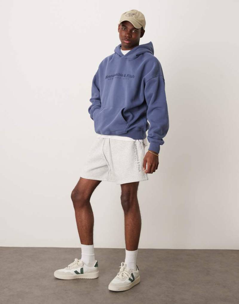 Abercrombie & Fitch - Fleece-Shorts in Hellgrau mit Kordelzugbund und Logo-Blau von Abercrombie & Fitch