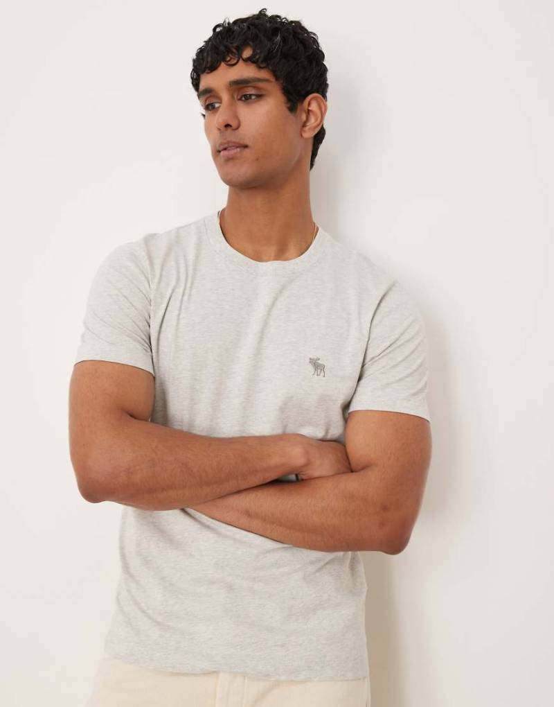 Abercrombie & Fitch - T-Shirt in Grau mit schmalem Schnitt und Markenzeichen von Abercrombie & Fitch