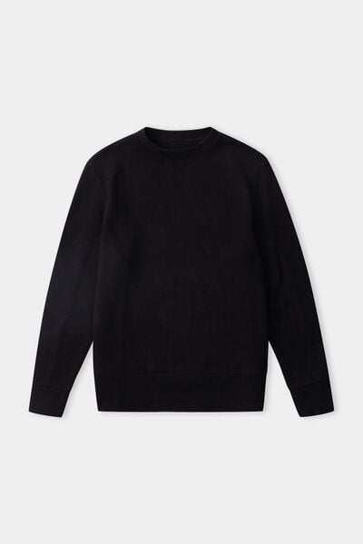 About Companions Lässiger Crewneck-Pullover GARWIN aus Bio-Baumwolle von About Companions