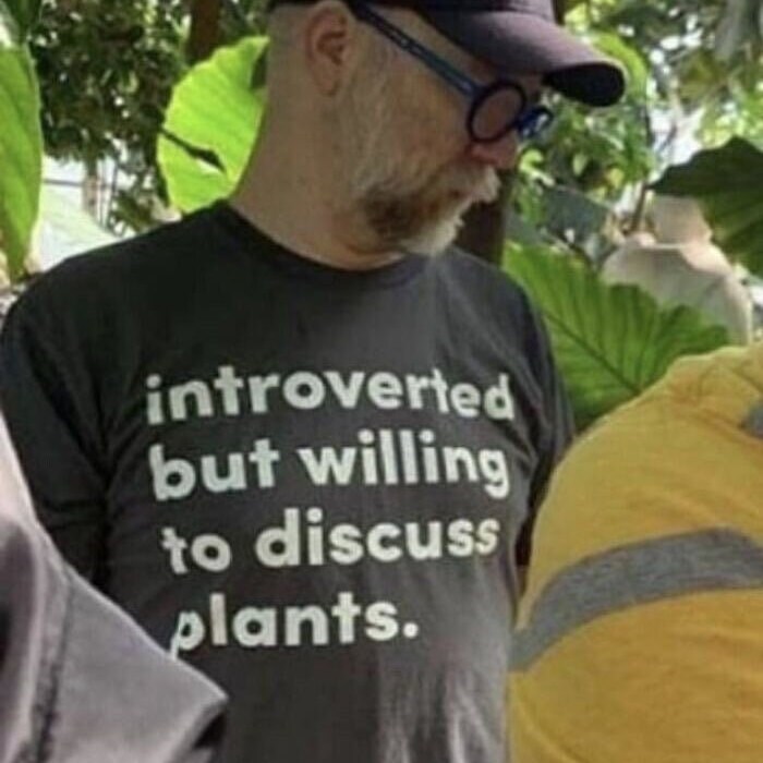 Introverted But Willing To Discuss Plants Twitter Y2K Meme Funny Sarkastisch Lustige Unisex Shirts Iconic Popkultur Ästhetik Geschenk Ironic Introverted But Willing To Discuss Plants Twitter Y2K Meme Funny Sarkastisch Lustige Unisex Shirts Iconic Popkultur Ästhetik Geschenk Ironic von AbsurdApparelStudio
