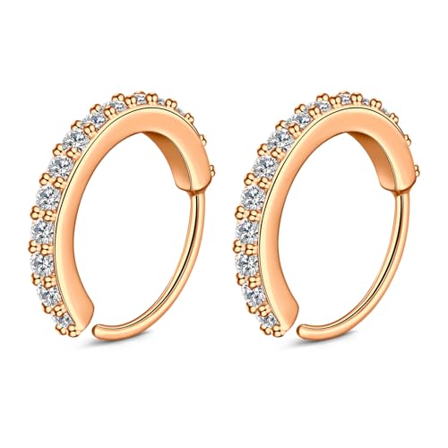 2 Stück Nasenpiercing 20G Edelstahl Nase Ringe Hoops 10mm Septum Ringe Nase rosegold Lippen Ringe Nase Clicker Ring Tragus Helix Knorpel Daith Rook Sleeper Ohrring Piercing Schmuck für Frauen Männer von AceFun