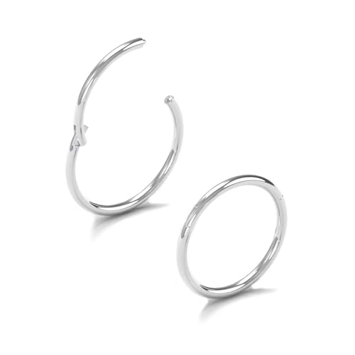 AceFun 20G Nasenpiercing 2 Stück Nasenpiercing ring Hoops Edelstahl Nase Ringe für Frauen klar CZ 8mm/10mm Septum Ringe Clicker für Knorpel Daith Helix Tragus Conch Piercing Schmuck von AceFun