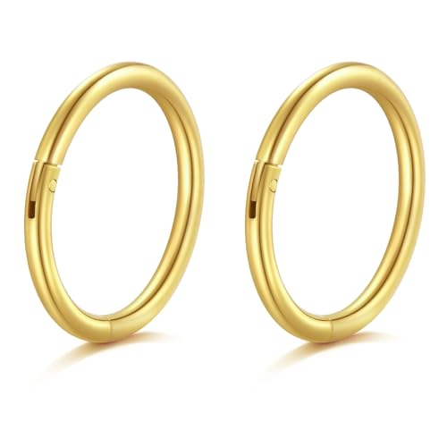 AceFun 20G Nasenpiercing,kleine dünne Nasenpiercing Ring 10mm Edelstahl Nasenpiercing Gold Hoop Clicker Segment Helix Knorpel Daith Tragus Ohrringe Körper Piercing Schmuck für Frauen Männer von AceFun