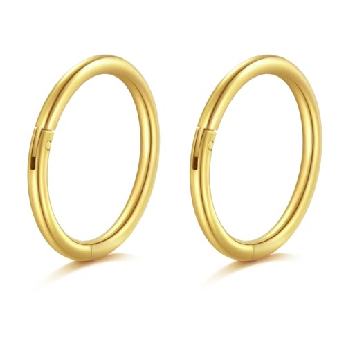 AceFun 20G Nasenpiercing,kleine dünne Nasenpiercing Ring 9mm Edelstahl Nasenpiercing Gold Hoop Hinged Clicker Segment Helix Knorpel Daith Tragus Ohrringe Körper Piercing Schmuck für Frauen Männer von AceFun