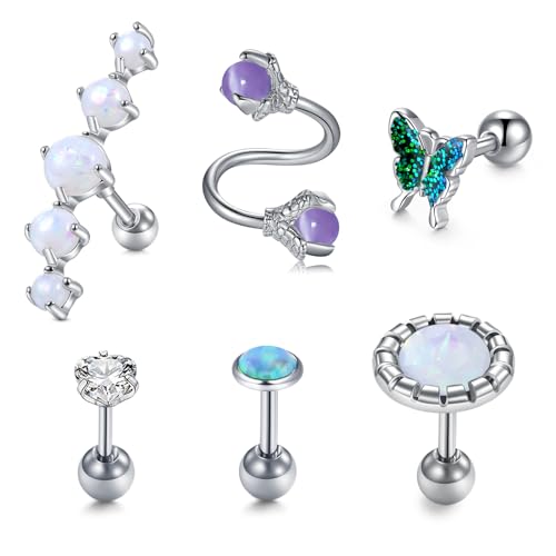 AceFun 6 Stück Silber Knorpel Ohrstecker Chirurgenstahl Helix Piercing Labret Flache Kugel Zurück Daith Ohrringe für Damen Herren von AceFun