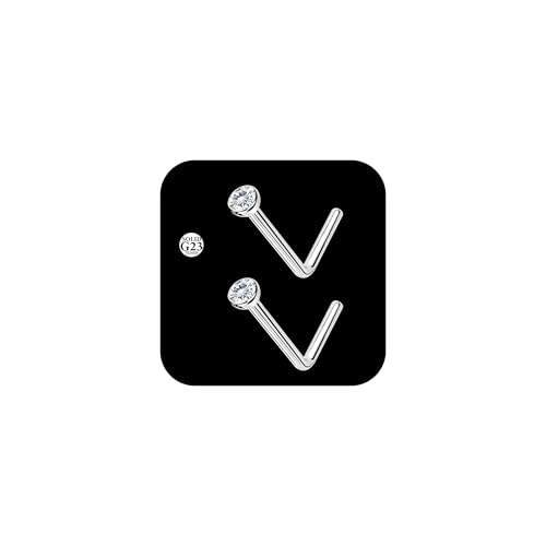 AceFun G23 Nasenpiercing Titan,Silber L Form nostril piercing Stud Nose Ring für Frauen 20g Titan Nasenpiercings 2mm CZ Diamond Nase piercing stecker für Frauen Männer von AceFun