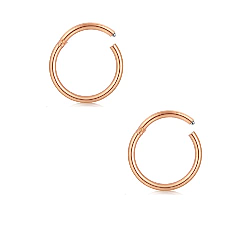 AceFun Helix Piercing 316L Edelstahl Damen Herren Septum Clicker Segmentring Nasenpiercing Nasenring Lippenring Tragus Knorpel Nippelring Brustwarzenpiercing 2 Stück 14G/1.6mm Roségold 14G-10mm von AceFun