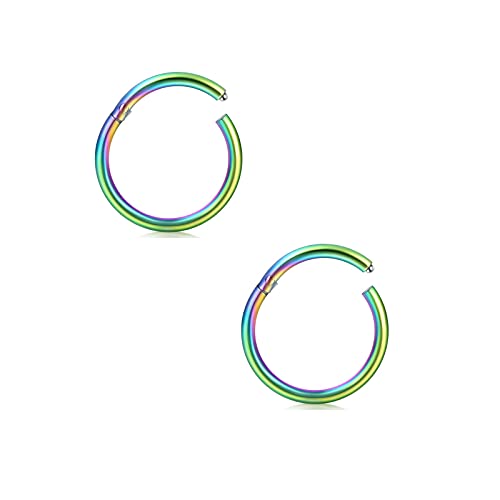 AceFun Helix Piercings Chirurgenstahl Damen Herren Septum Piercing Hinged Clicker Segmentring Nasenpiercing Lippenpiercing Tragus Knorpel Ohr Piercing 2 StückBunt 18G-8mm AceFun Helix Piercings Chirurgenstahl Damen Herren Septum Piercing Hinged Clicker Segmentring Nasenpiercing Lippenpiercing Tragus Knorpel Ohr Piercing 2 StückBunt 18G-8mm von AceFun