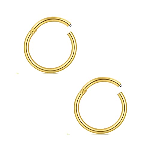 AceFun Helix Piercings Chirurgenstahl Damen Herren Septum Piercing Hinged Clicker Segmentring Nasenpiercing Lippenpiercing Tragus Knorpel Ohr Piercing 2 StückGold 18G-14mm von AceFun