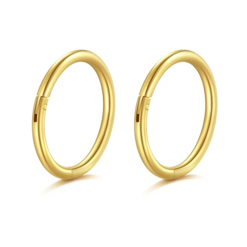 AceFun Nasenpiercing 20G Scharnier Klickersegment kleiner gold Nasenpiercing ring 7mm Lip Septum Ringe 2 Stück Tragus Knorpel Schläfer Ohrringe 7mm dünner Nasenpiercing gold für Frauen Männer von AceFun