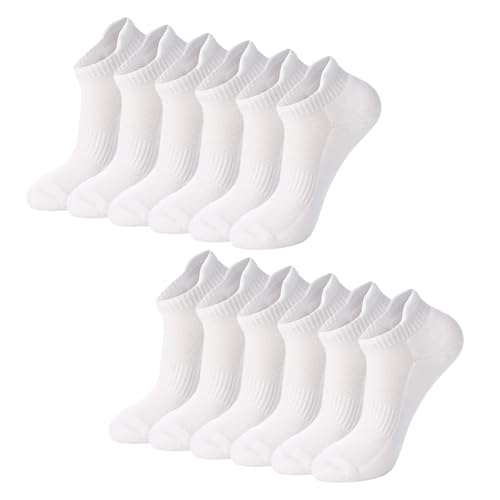 Acramy Baumwolle Sneaker Socken 6er Pack Unisex Kurze Laufsocken Damen Herren Atmungsaktiv Sportsocken (35-38, Weiß) von Acramy