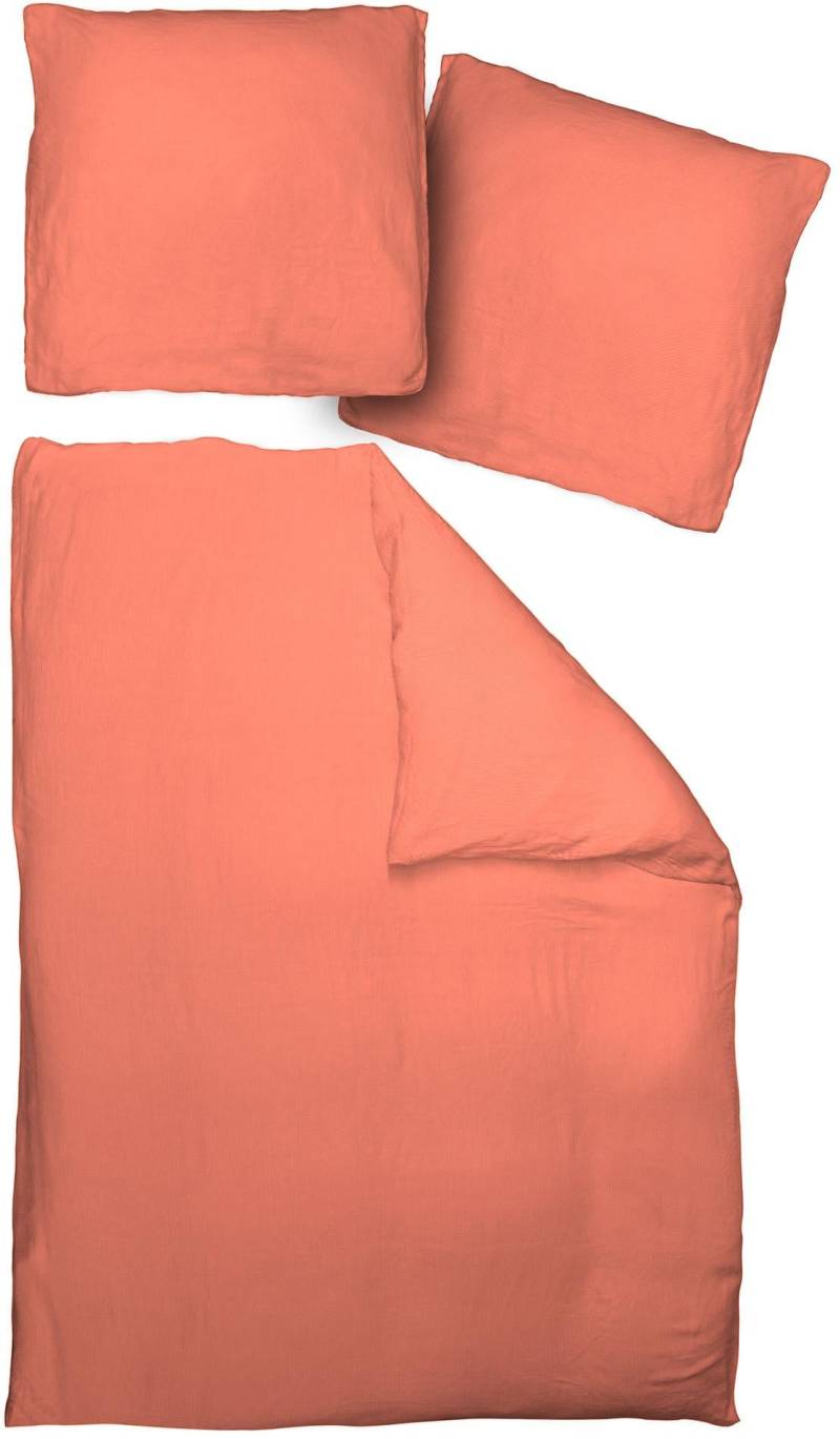 Adam Bettwäsche "Uni Collection light" 2 Stk. tlg. aus 100 % Bio-Baumwolle, 2 teilig - Bettwäsche Set von Adam