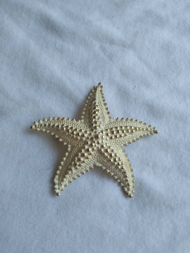 Vintage Seestern Brosche Aus Goldfarbenem Metall von AdamsVintageFinds