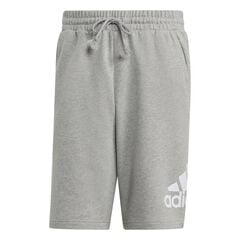 Herren Shorts ESSENTIALS BIG LOGO von adidas Sportswear