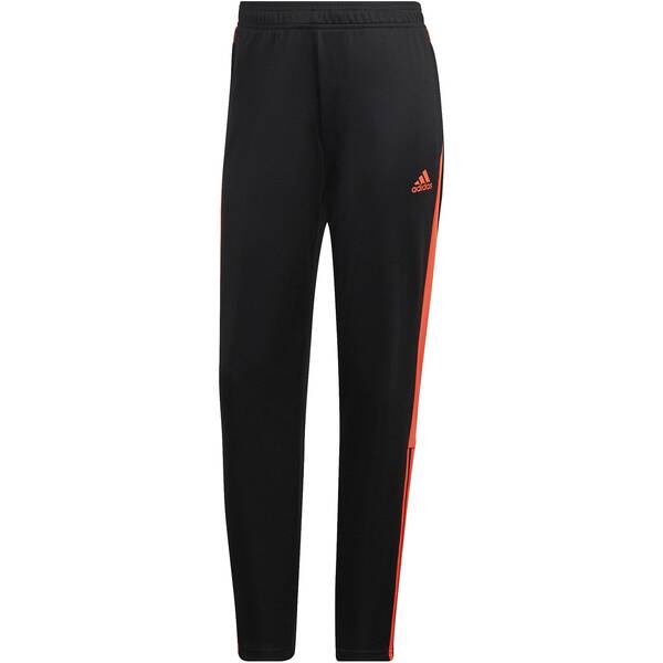 ADIDAS Damen Sporthose TIRO TR PNT ESW von Adidas