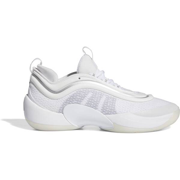 ADIDAS Herren Basketballschuhe D.O.N. Issue #6 Triple White von Adidas
