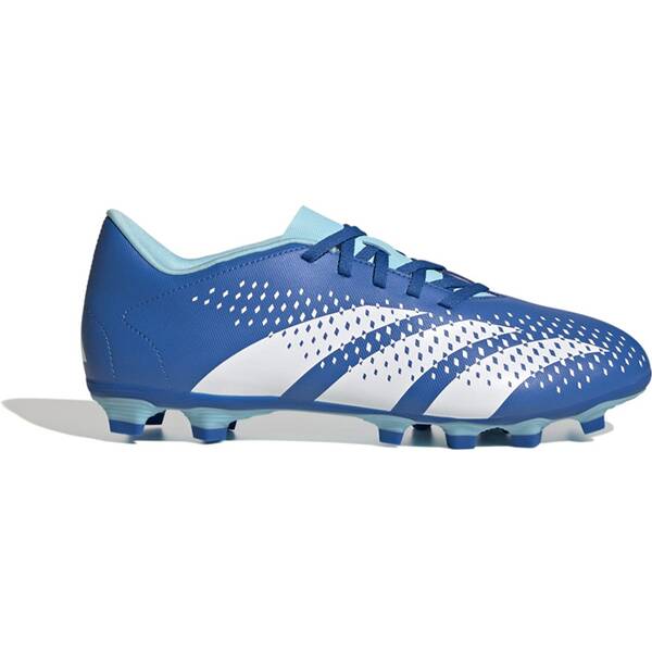 ADIDAS Herren Fussball-Rasenschuhe Predator Accuracy.4 FxG von Adidas