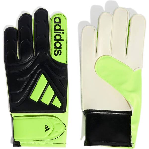 ADIDAS Herren Handschuhe Copa Club von Adidas