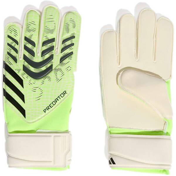 ADIDAS Herren Handschuhe Predator Match ADIDAS Herren Handschuhe Predator Match von Adidas