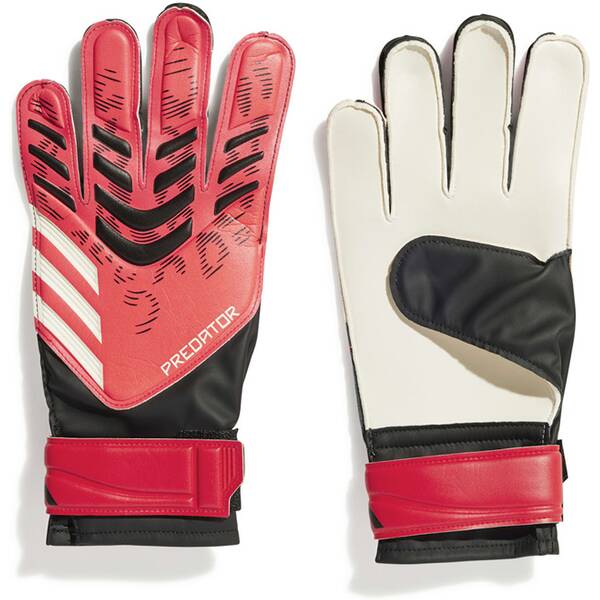 ADIDAS Herren Handschuhe Predator Training von Adidas