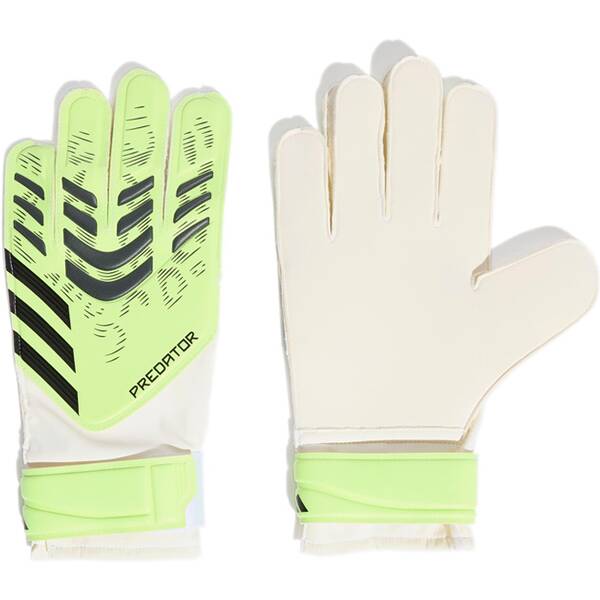 ADIDAS Herren Handschuhe Predator Training ADIDAS Herren Handschuhe Predator Training von Adidas
