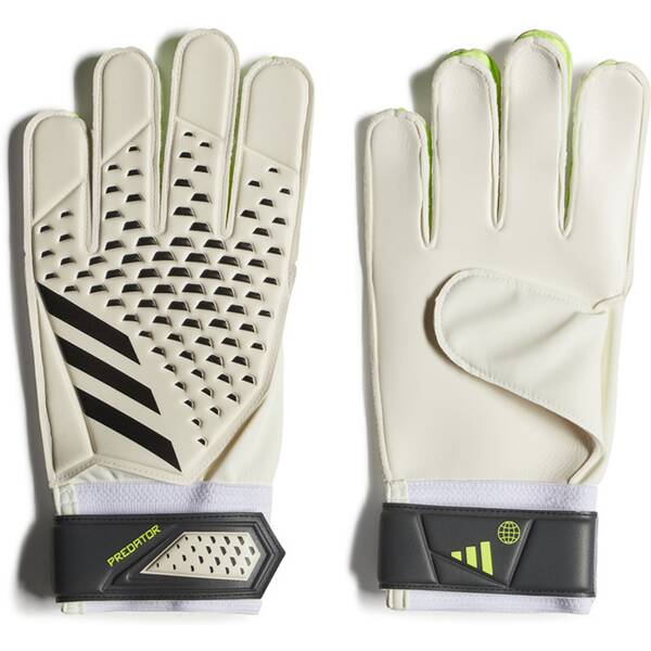 ADIDAS Herren Handschuhe Predator Training von Adidas