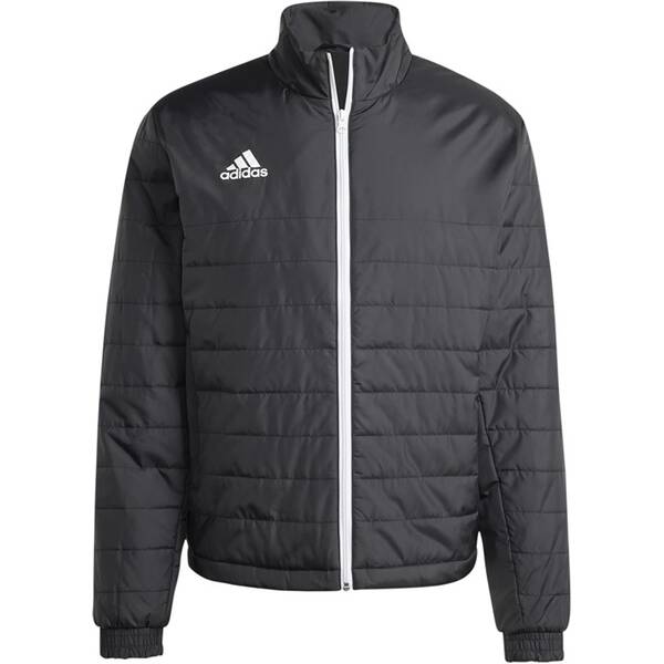 ADIDAS Herren Jacke Entrada Light (normal & lang) von Adidas