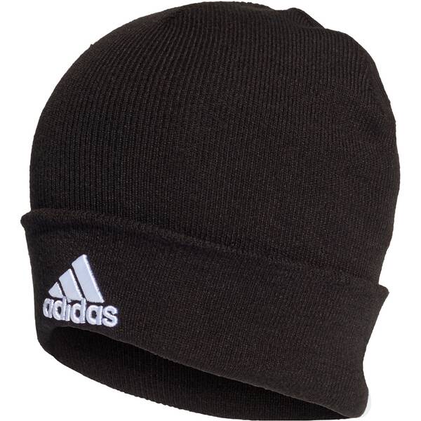 ADIDAS Herren Mütze Logo Woolie von Adidas