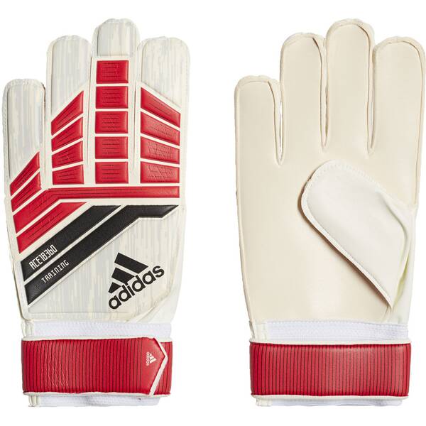 ADIDAS Herren Predator 18 Training Torwarthandschuhe von Adidas