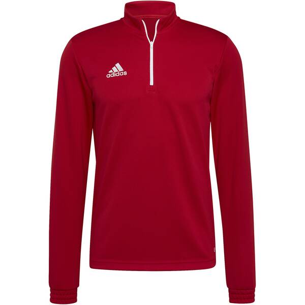 ADIDAS Herren Sweatshirt Entrada 22 Training (normal & lang) von Adidas