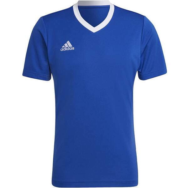 ADIDAS Herren Trikot Entrada 22 (normal & lang) von Adidas