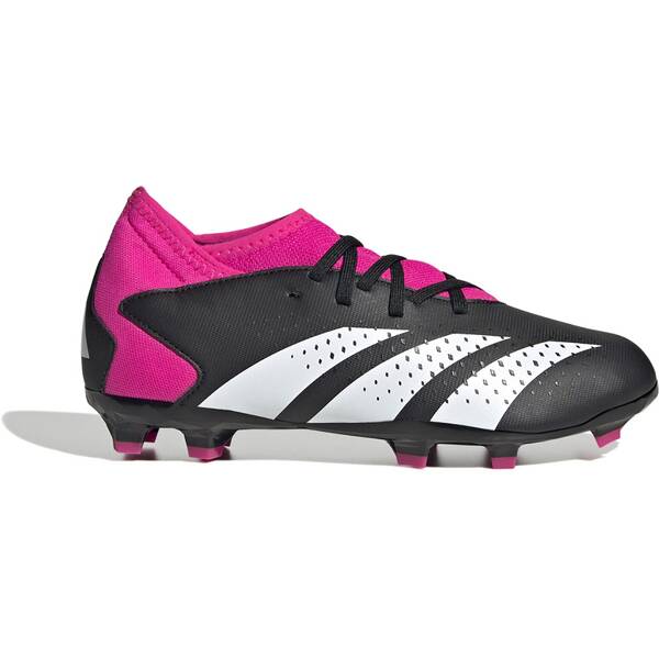 ADIDAS Kinder Fussball-Rasenschuhe PREDATOR ACCURACY.3 FG J von Adidas