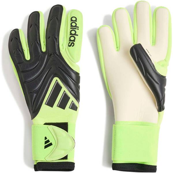 ADIDAS Kinder Handschuhe Copa Pro Kids ADIDAS Kinder Handschuhe Copa Pro Kids von Adidas