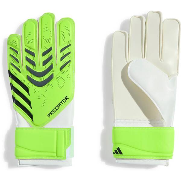ADIDAS Kinder Handschuhe Predator Training für Kinder von Adidas