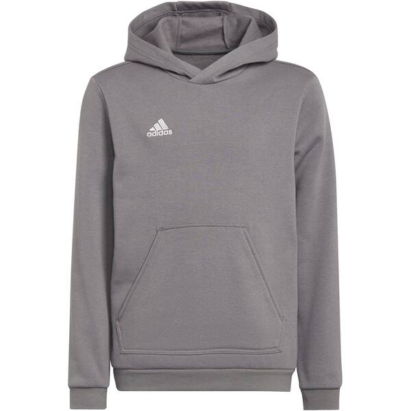 ADIDAS Kinder Kapuzensweat Entrada 22 Sweat von Adidas