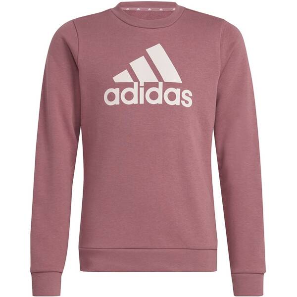 ADIDAS Kinder Sweatshirt Essentials Big Logo Cotton von Adidas