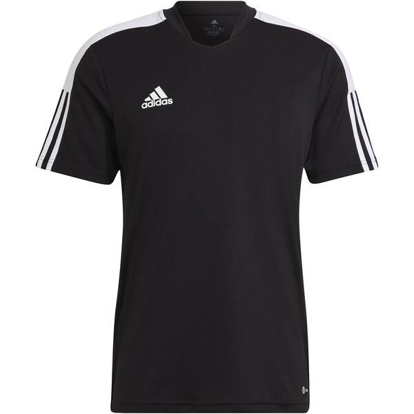 ADIDAS Herren Tiro Essentials Trikot von Adidas