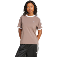 Adidas 3 Stripes Damen T-Shirts - Braun - Größe: 36 - Baumwoll-Jersey - Foot Locker Adidas 3 Stripes Damen T-Shirts - Braun - Größe: 36 - Baumwoll-Jersey - Foot Locker von Adidas