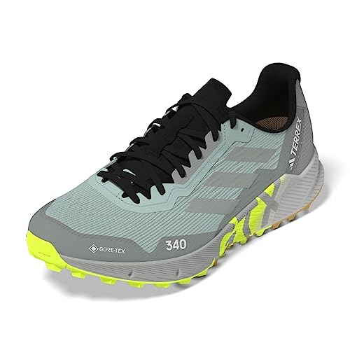 adidas Herren Terrex Agravic Flow 2 GTX Shoes-Low (Non Football), Semi Flash Aqua/Wonder Silver/Lucid Lemon, 44 EU von adidas