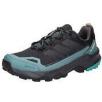 adidas Terrex Skychaser AX5 GTX Herren schwarz von Adidas