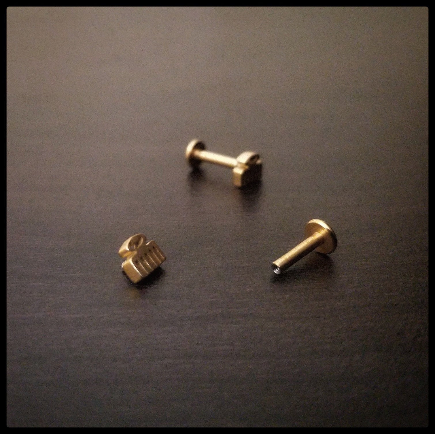 Duafe Innengefädelter Labret-Ring Duafe Innengefädelter Labret-Ring von AdinkraBodyJewelry