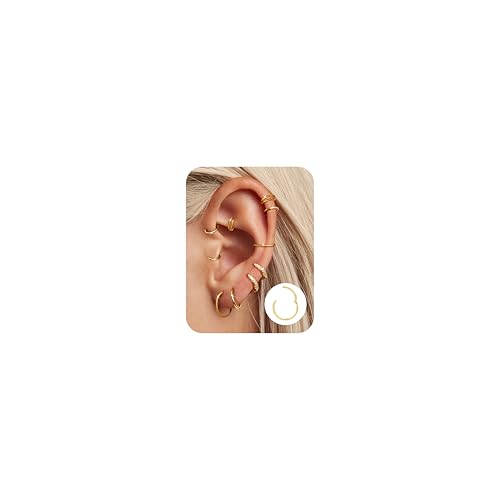 Adramata 10 Stücke Piercing Ohr Edelstahl Nasenpiercing Ring 16G/18G Knorpel Creolen für Damen Männer 6-12mm Helix Ohrringe Septum Couch Daith Lip Tragus Piercing Set Gold/Silber von Adramata