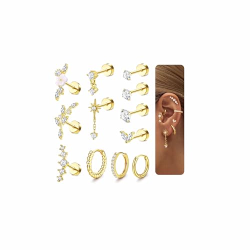 Adramata 12Pcs Helix Piercings Chirurgenstahl Ohrringe Piercings Set CZ Ohr Piercings Ohrstecker Knorpel Ohrringe Damen Klein Ohrring Creolen Gold Silber Conch Helix Tragus Piercing Ohr Schmuck von Adramata