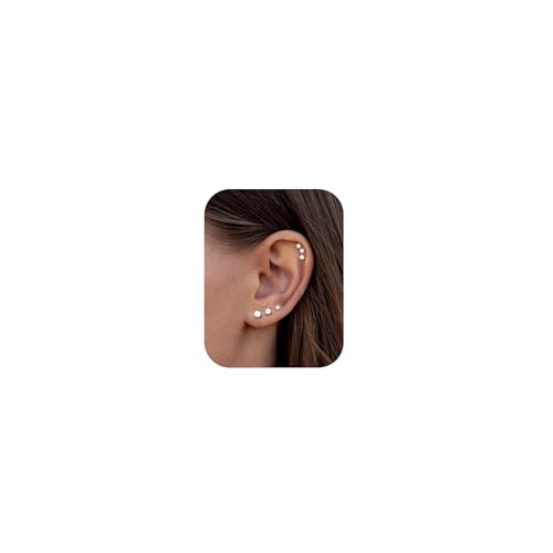 Adramata 4 Paare Ohrringe Silber 925 Set Hypoallergen Ohrringe Damen Klein Knorpel Ohrring Tragus Helix Piercings Ohrstecker Silber 925 Gold Ohrringe Stecker von Adramata