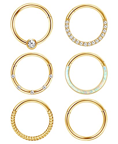 Adramata 6 Stück 16G 18G Nasenring Septum Ring für Damen Herren Silber Nostril Chirurgenstahl Nase Helix Conch Tragus Ohr Lippenringe Set von Adramata
