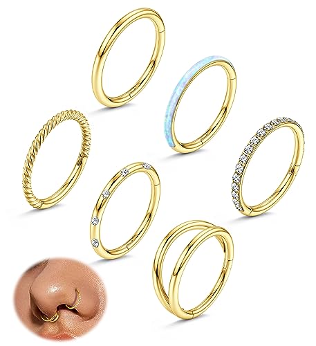 Adramata 6Pcs 18G Nasenpiercing Ring Septum Piercing Chirurgenstahl Nostril Piercing Helix Piercings Conch Piercing Ring Tragus Ohr Piercing Gold Silber Nasenring Piercing Set für Damen Herren Adramata 6Pcs 18G Nasenpiercing Ring Septum Piercing Chirurgenstahl Nostril Piercing Helix Piercings Conch Piercing Ring Tragus Ohr Piercing Gold Silber Nasenring Piercing Set für Damen Herren von Adramata